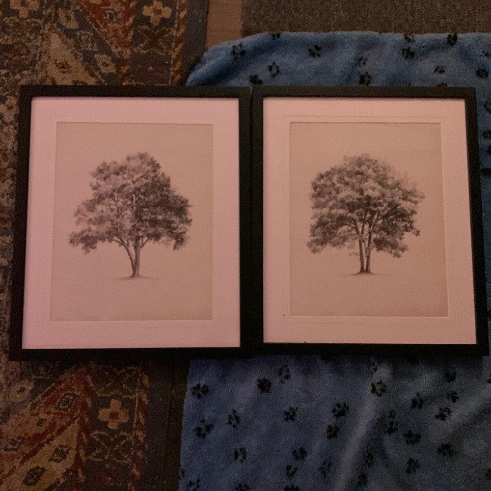 2 decor pictures